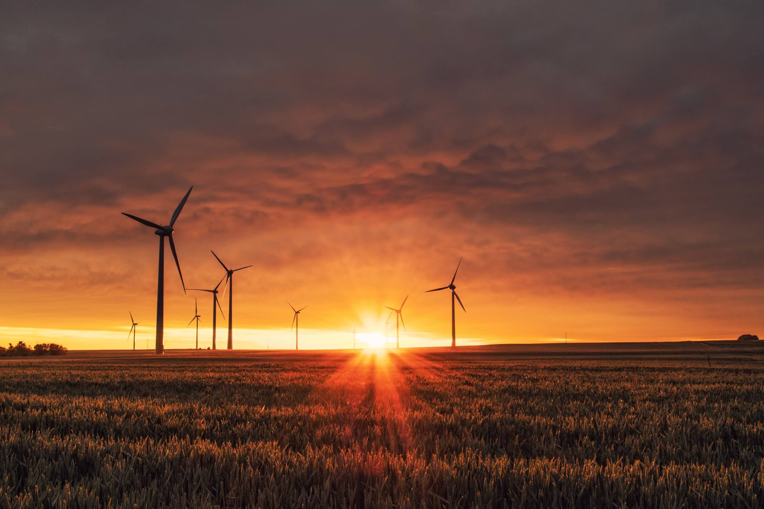 picture of wind turbines on a field at sundown